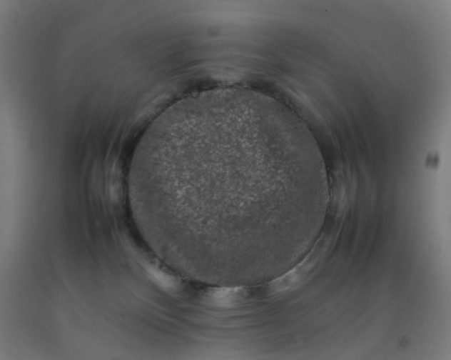 X0000092230136200709281112