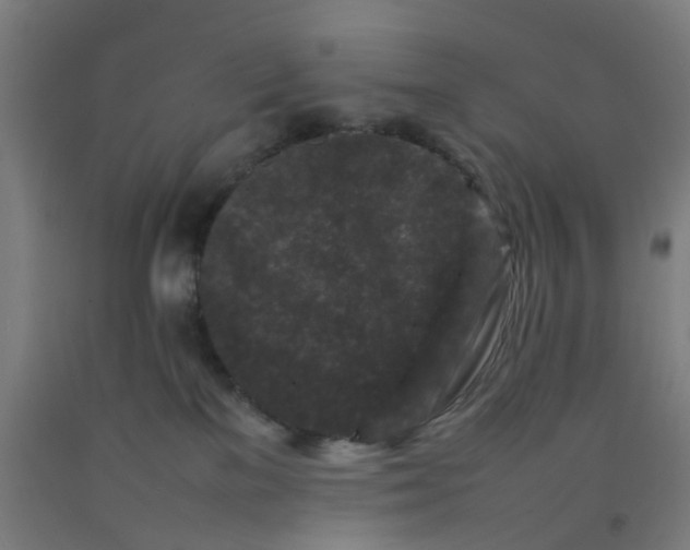 X0000092230137200709281112