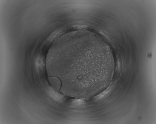 X0000092230140200709281112