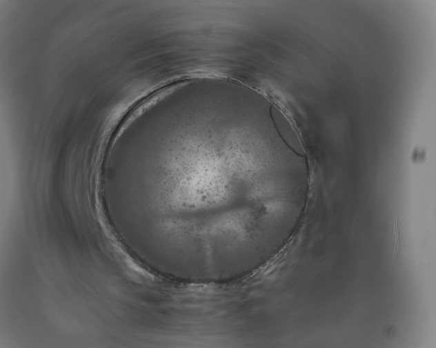 X0000092230145200709281111