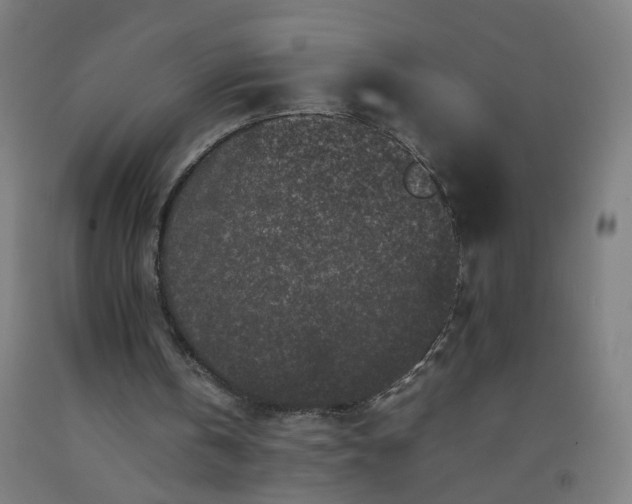 X0000092230146200709281111