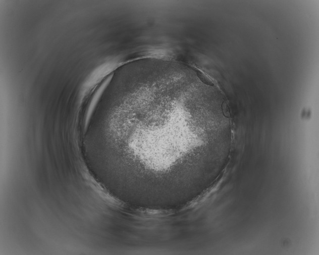 X0000092230149200709281111