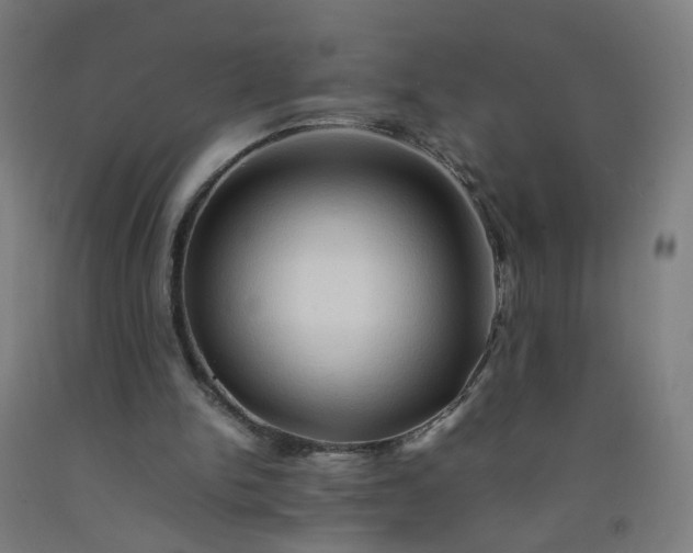 X0000092230150200709281111