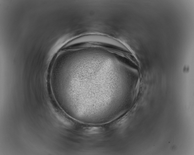 X0000092230151200709281111