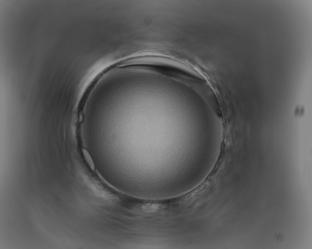 X0000092230152200709281111