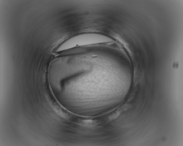 X0000092230153200709281111