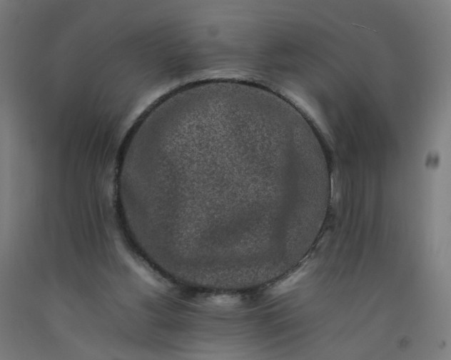 X0000092230156200709281111