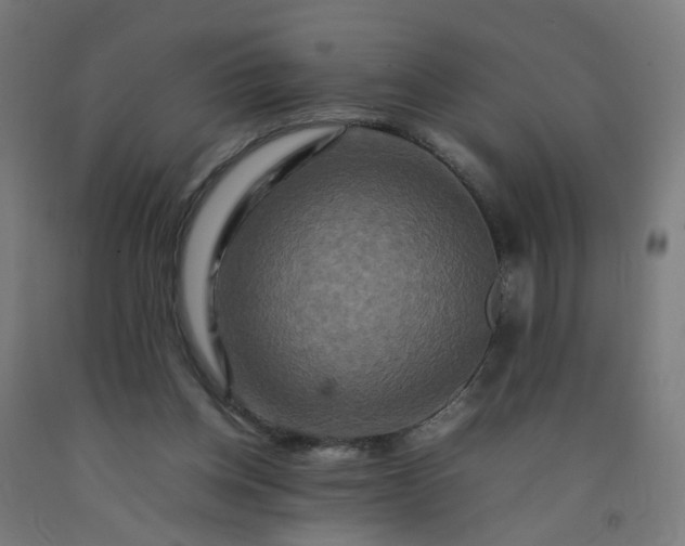 X0000092230158200709281111