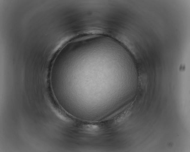 X0000092230159200709281111