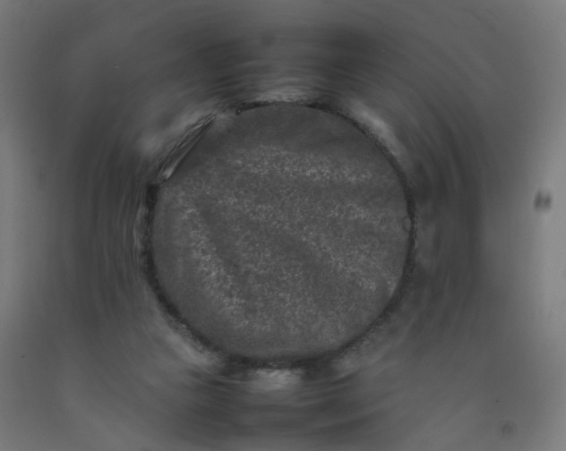 X0000092230161200709281111