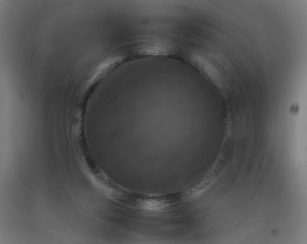 X0000092230163200709281111