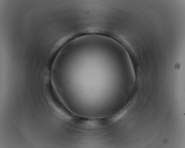 X0000092230164200709281111