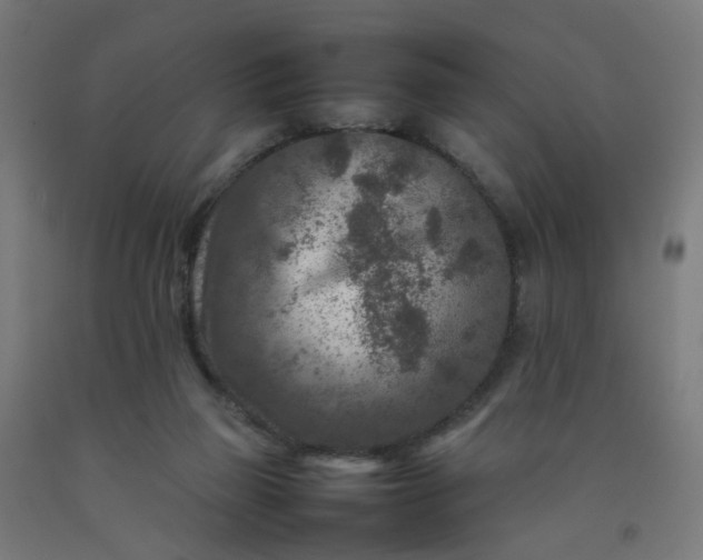 X0000092230165200709281111