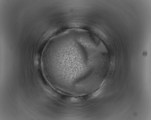 X0000092230166200709281111