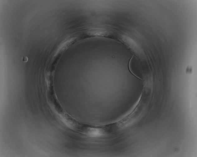 X0000092230167200709281111