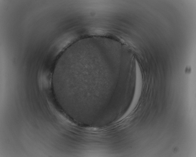 X0000092230168200709281111