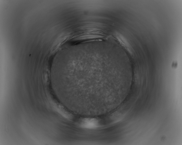 X0000092230169200709281111