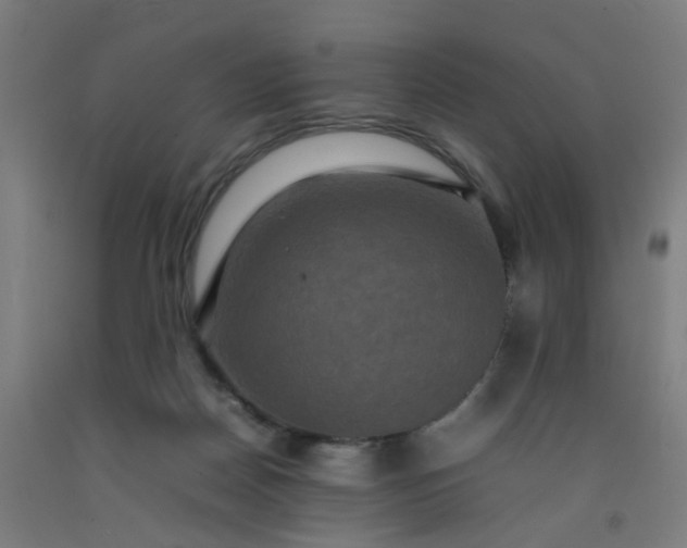 X0000092230170200709281111