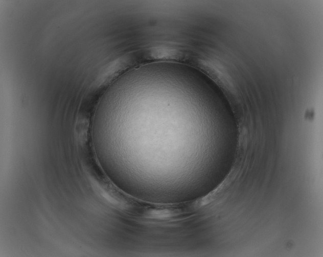 X0000092230171200709281111