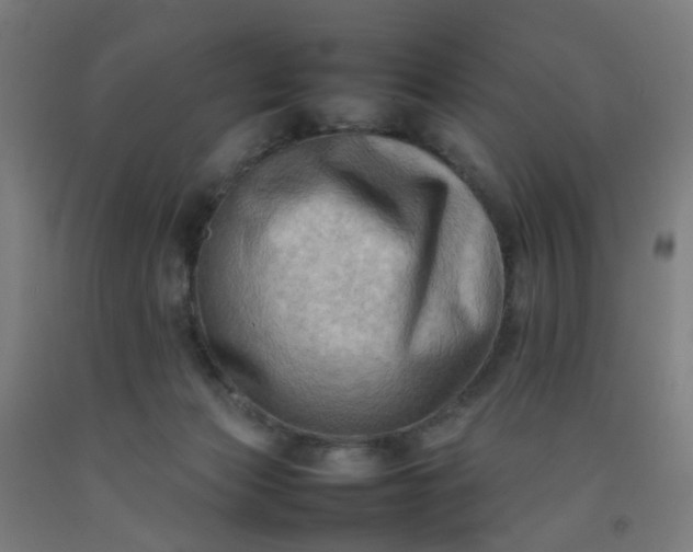 X0000092230173200709281111