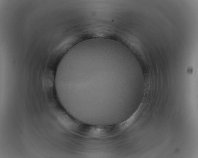 X0000092230174200709281111