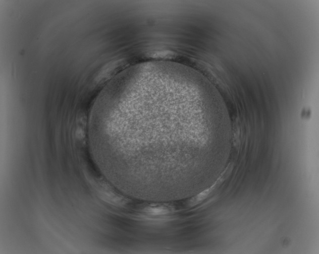 X0000092230175200709281111