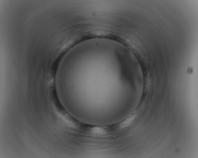 X0000092230176200709281111