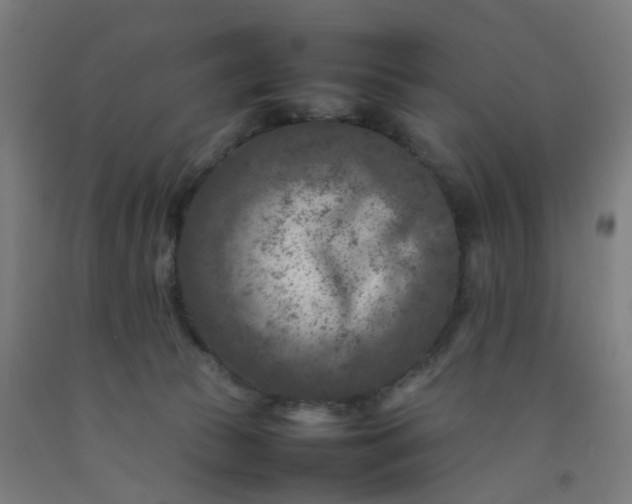 X0000092230177200709281111