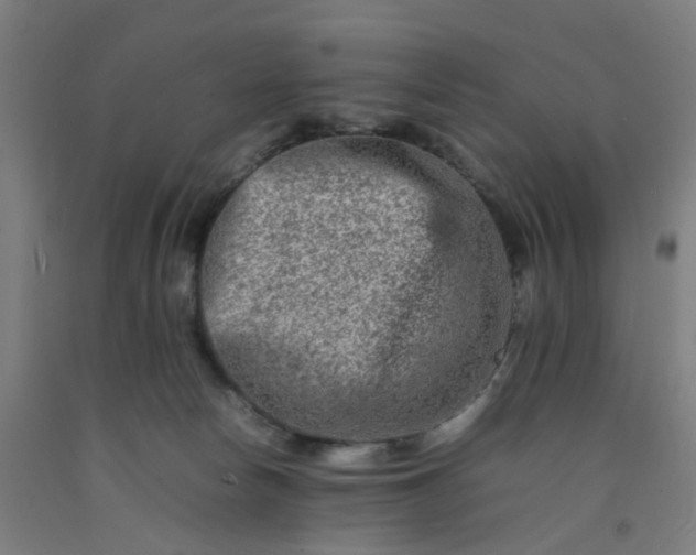 X0000092230178200709281111