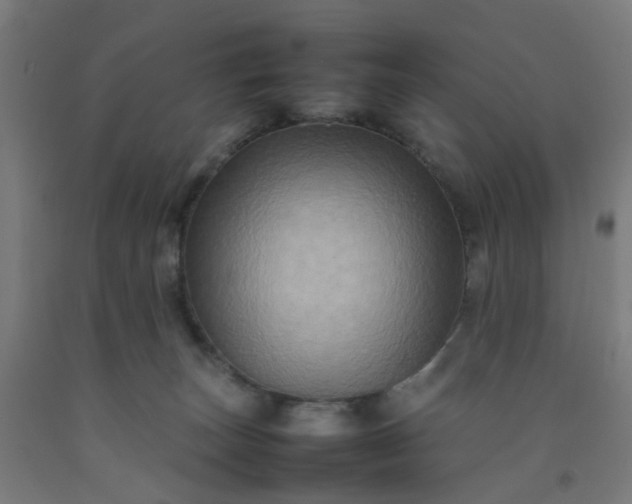 X0000092230179200709281111