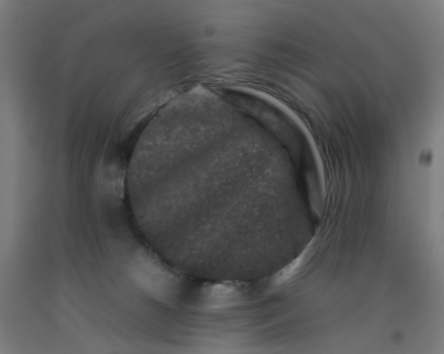 X0000092230180200709281111