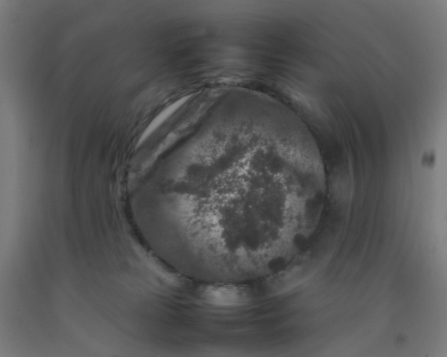 X0000092230181200709281111