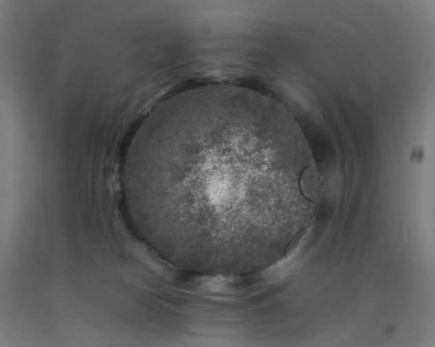 X0000092230182200709281111