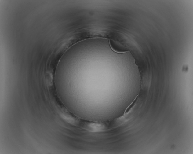 X0000092230183200709281111