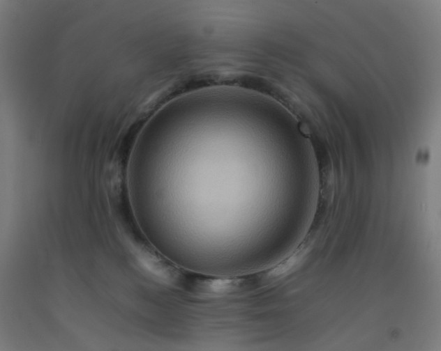 X0000092230184200709281111