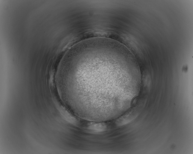 X0000092230185200709281111