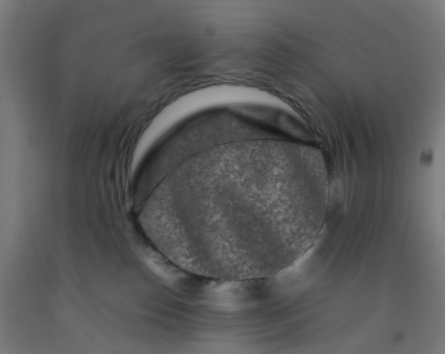 X0000092230186200709281111