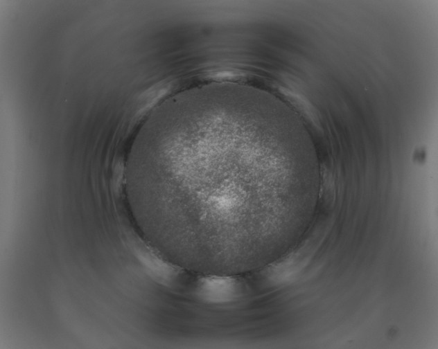 X0000092230189200709281111