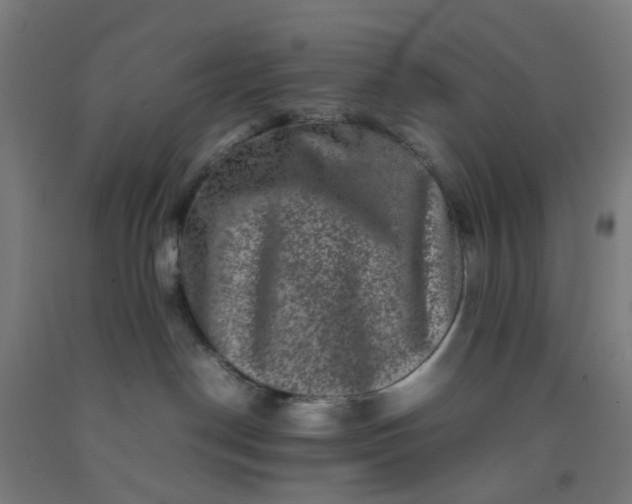 X0000092230190200709281111