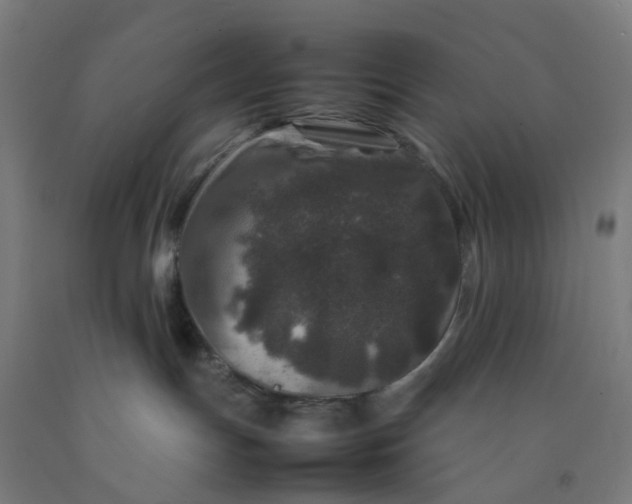 X0000092230191200709281111