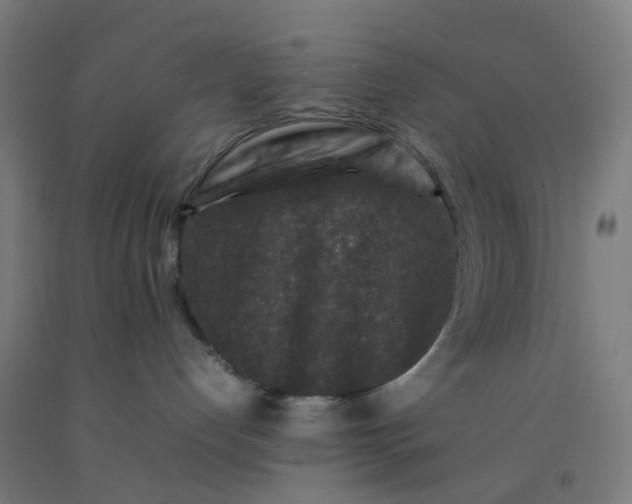 X0000092230192200709281111