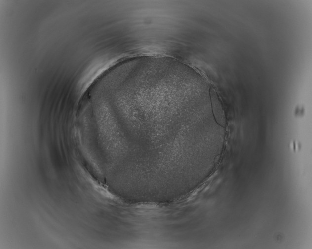 X0000092230194200709281111