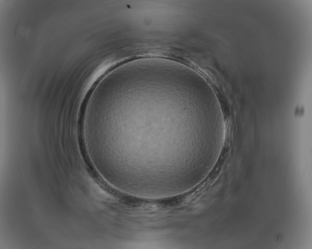 X0000092230195200709281111