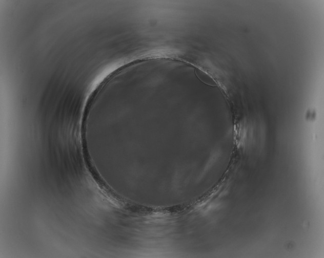 X0000092230196200709281111