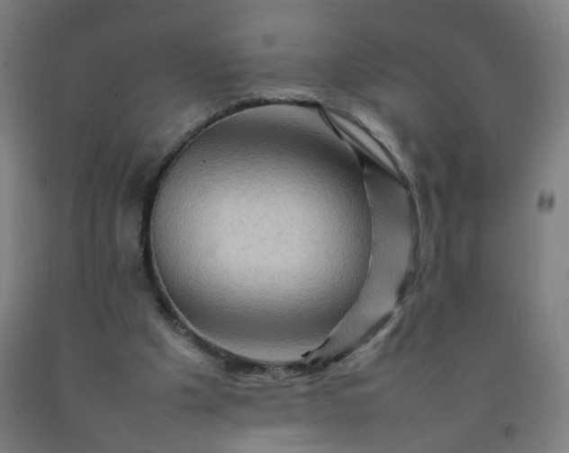 X0000092230201200709281111