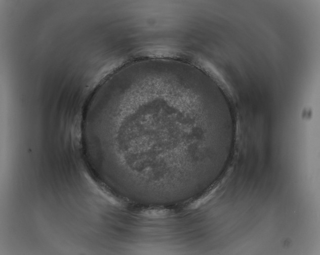 X0000092230202200709281111