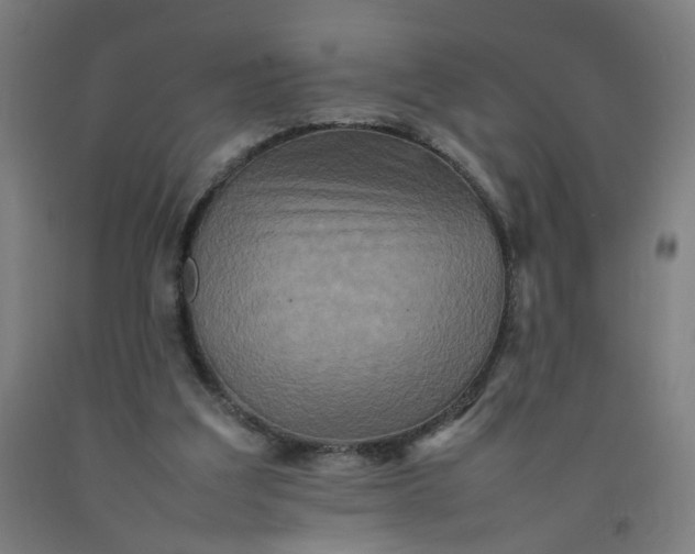 X0000092230203200709281111