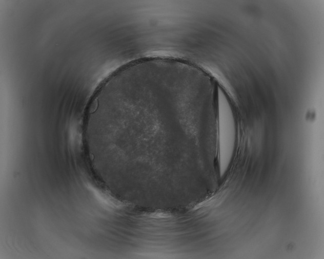 X0000092230204200709281111