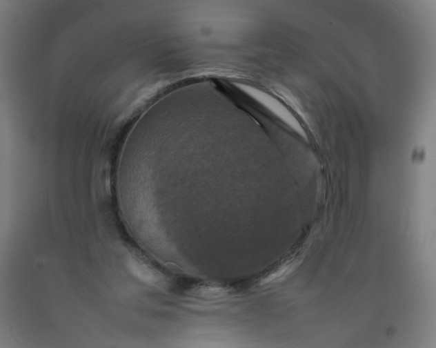 X0000092230205200709281111