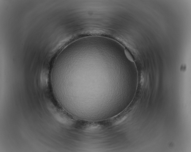 X0000092230206200709281111